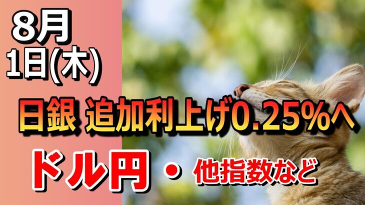 【TAKA FX】日銀ついに追加利上げ0.25%　ドル円他各通貨の環境認識解説。各種指数、GOLDなど　8月1日(木)