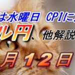 【TAKA FX】来週もCPIを控え大荒れか？　ドル円他各通貨の環境認識解説。各種指数、GOLDなど　8月5日(月)～