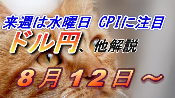 【TAKA FX】来週もCPIを控え大荒れか？　ドル円他各通貨の環境認識解説。各種指数、GOLDなど　8月5日(月)～