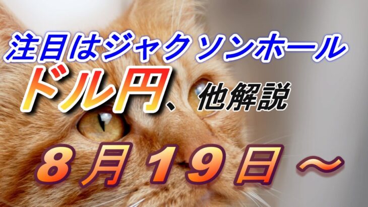 【TAKA FX】ジャクソンホール前の調整にご用心　ドル円他各通貨の環境認識解説。各種指数、GOLDなど　8月12日(月)～