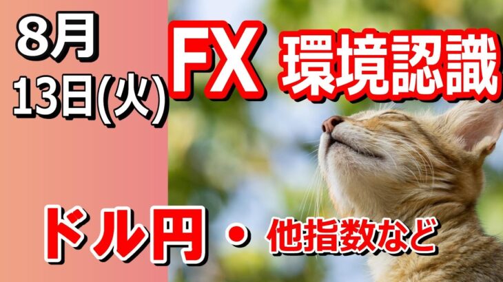 【TAKA FX】日本休みでもよく動きますｗ　ドル円他各通貨の環境認識解説。各種指数、GOLDなど　8月13日(火)