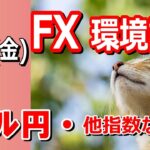 【TAKA FX】ドル円他各通貨の環境認識解説。各種指数、GOLDなど　8月16日(金)