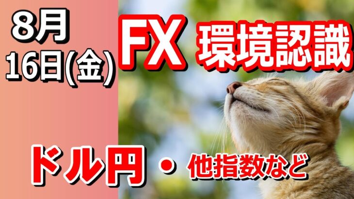 【TAKA FX】ドル円他各通貨の環境認識解説。各種指数、GOLDなど　8月16日(金)