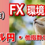 【TAKA FX】ドル円他各通貨の環境認識解説。各種指数、GOLDなど　8月2日(金)