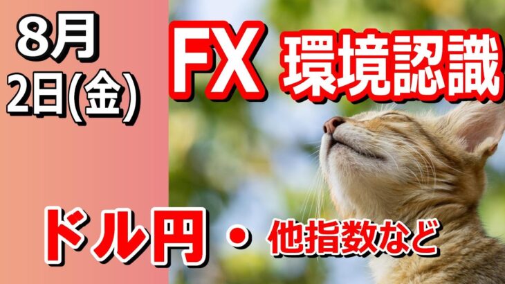 【TAKA FX】ドル円他各通貨の環境認識解説。各種指数、GOLDなど　8月2日(金)