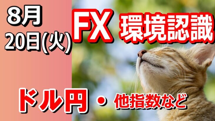 【TAKA FX】ドル円他各通貨の環境認識解説。各種指数、GOLDなど　8月20日(火)