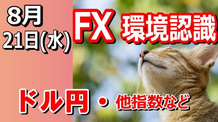 【TAKA FX】明日からジャクソンホールですよ　ドル円他各通貨の環境認識解説。各種指数、GOLDなど　8月21日(水)