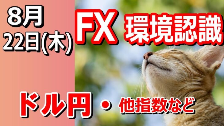 【TAKA FX】ドル円他各通貨の環境認識解説。各種指数、GOLDなど　8月21日(木)