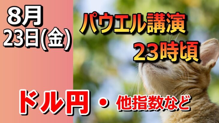 【TAKA FX】パウエル講演に注意！　ドル円他各通貨の環境認識解説。各種指数、GOLDなど　8月23日(金)