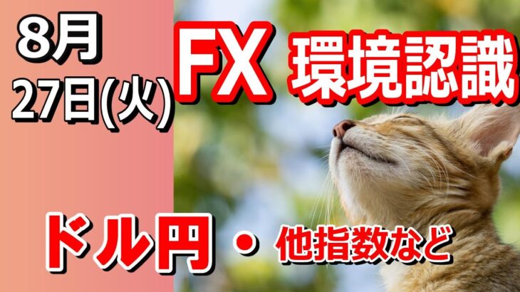 【TAKA FX】ドル円他各通貨の環境認識解説。各種指数、GOLDなど　8月27日(火)