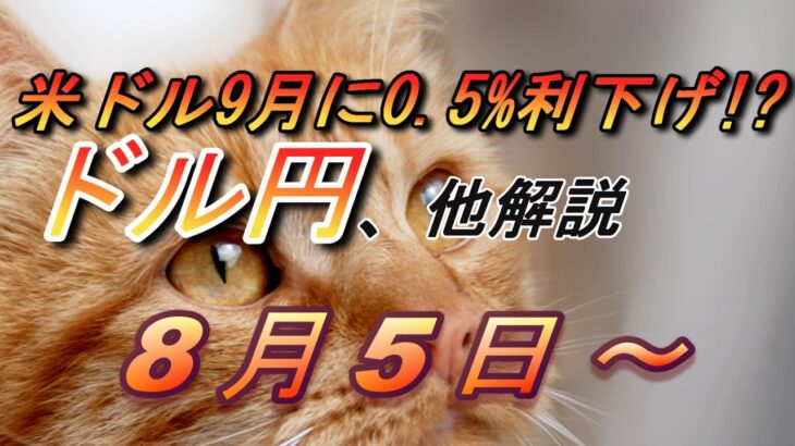 【TAKA FX】ついに米ドル利下げ待った無し！ドル円他各通貨の環境認識解説。各種指数、GOLDなど　8月5日(月)～