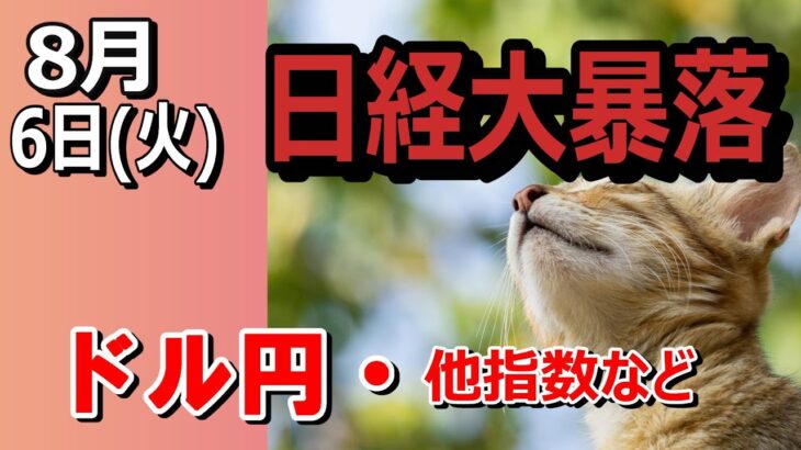 【TAKA FX】日経平均大暴落！ドル円他各通貨の環境認識解説。各種指数、GOLDなど　8月6日(火)