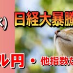 【TAKA FX】リバウンド相場？　ドル円他各通貨の環境認識解説。各種指数、GOLDなど　8月7日(水)