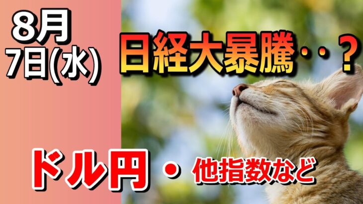 【TAKA FX】リバウンド相場？　ドル円他各通貨の環境認識解説。各種指数、GOLDなど　8月7日(水)