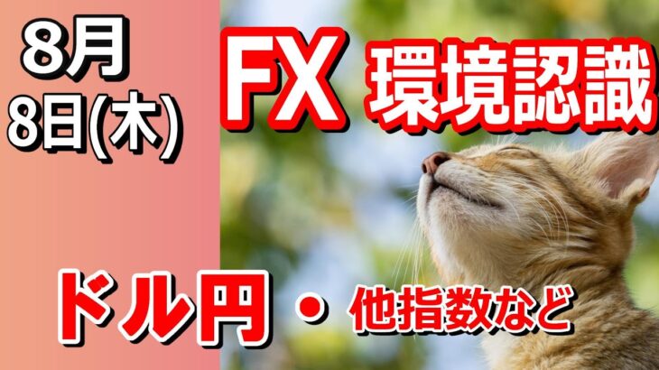 【TAKA FX】内田副総裁相場？ｗ　ドル円他各通貨の環境認識解説。各種指数、GOLDなど　8月8日(木)