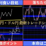 転換or下落待ち「2つのトレードシナリオ」【FXポンド円/ドル円 最新予想】