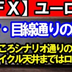 【ＦＸ】ユーロ円　配信通り目線通り押し目買いの戦略！