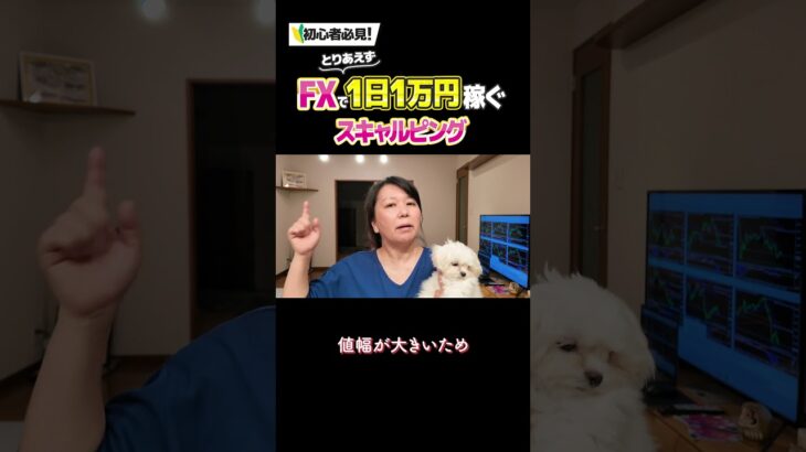 【1日1万円】FX超初心者でも出来る順張り手法を大公開しちゃう🐶｜投資主婦 スキャルピング デイトレ スイング