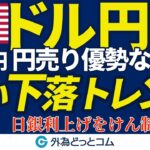 ドル円、144円 円売り優勢ながら強い下落トレンド｜総裁選、日銀利上げをけん制？（今日のFX予想）2024/9/24