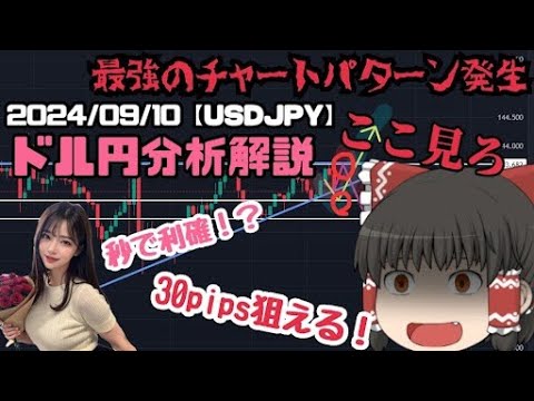 【最強チャートパターン完全攻略】2024/09/10 ドル円分析解説【USDJPY】【ゆっくり解説】