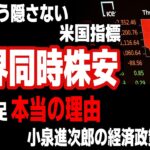 【インデ ドル円 ユーロ円】世界同時株安 もう隠さないアメリカ指標／コメ不足本当の理由／小泉進次郎の経済政策🤷🏻‍♂｜最新の相場を分析 2024年9月10日