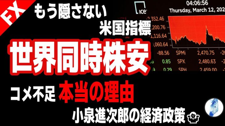 【インデ ドル円 ユーロ円】世界同時株安 もう隠さないアメリカ指標／コメ不足本当の理由／小泉進次郎の経済政策🤷🏻‍♂｜最新の相場を分析 2024年9月10日