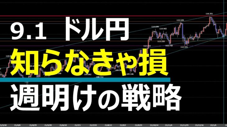 9.1 FX速報 ドル円 トレードポイント