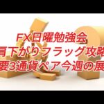 FX日曜勉強会 右肩下がりフラッグ攻略法 主要3通貨ペア今週の展望