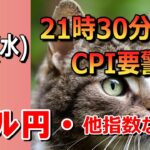 【TAKA FX】CPI、21時30分要警戒！　ドル円他各通貨の環境認識解説。各種指数、GOLDなど　9月11日(水)