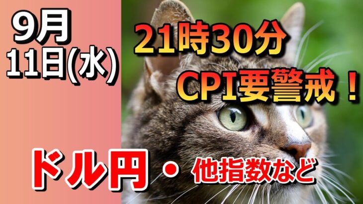 【TAKA FX】CPI、21時30分要警戒！　ドル円他各通貨の環境認識解説。各種指数、GOLDなど　9月11日(水)