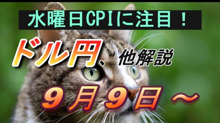 【TAKA FX】水曜CPIに要警戒！　ドル円他各通貨の環境認識解説。各種指数、GOLDなど　9月9日(月)～