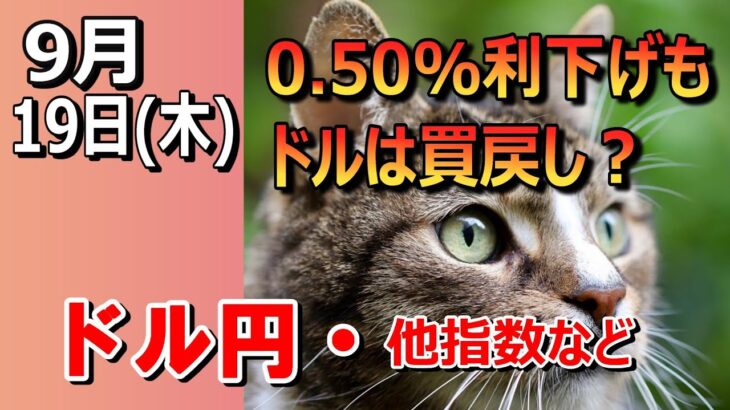 【TAKA FX】FOMC0.5%利下げ！ドル円他各通貨の環境認識解説。各種指数、GOLDなど　9月19日(木)