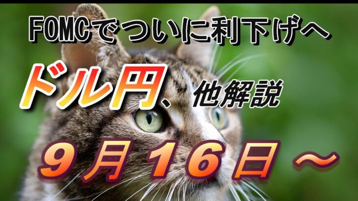 【TAKA FX】FOMC利下げ幅は？　ドル円他各通貨の環境認識解説。各種指数、GOLDなど　9月16日(月)～