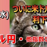 【TAKA FX】FOMCで利下げ幅決着へ　ドル円他各通貨の環境認識解説。各種指数、GOLDなど　9月18日(水)