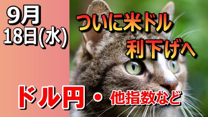 【TAKA FX】FOMCで利下げ幅決着へ　ドル円他各通貨の環境認識解説。各種指数、GOLDなど　9月18日(水)