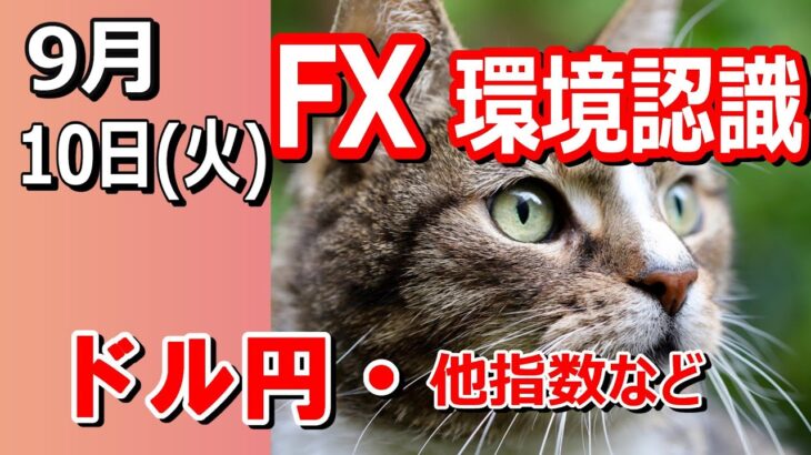 【TAKA FX】ドル円他各通貨の環境認識解説。各種指数、GOLDなど　9月10日(火)