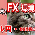 【TAKA FX】大荒れの円相場…ドル円他各通貨の環境認識解説。各種指数、GOLDなど　9月12日(木)