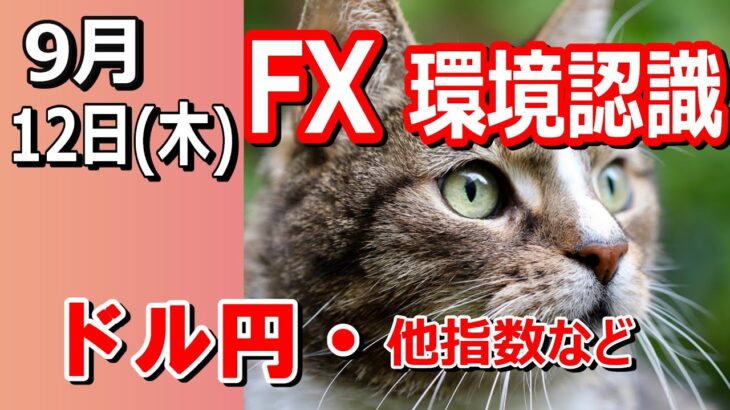 【TAKA FX】大荒れの円相場…ドル円他各通貨の環境認識解説。各種指数、GOLDなど　9月12日(木)