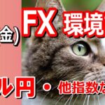 【TAKA FX】ドル円他各通貨の環境認識解説。各種指数、GOLDなど　9月13日(金)