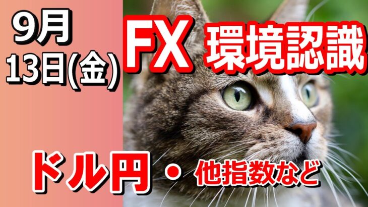 【TAKA FX】ドル円他各通貨の環境認識解説。各種指数、GOLDなど　9月13日(金)