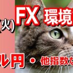 【TAKA FX】ドル円他各通貨の環境認識解説。各種指数、GOLDなど　9月17日(火)