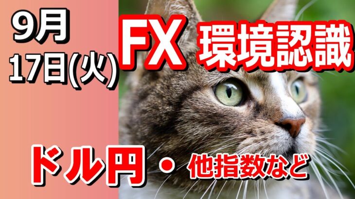 【TAKA FX】ドル円他各通貨の環境認識解説。各種指数、GOLDなど　9月17日(火)