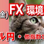 【TAKA FX】ドル円他各通貨の環境認識解説。各種指数、GOLDなど　9月20日(金)