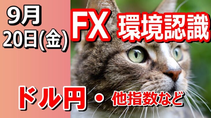 【TAKA FX】ドル円他各通貨の環境認識解説。各種指数、GOLDなど　9月20日(金)