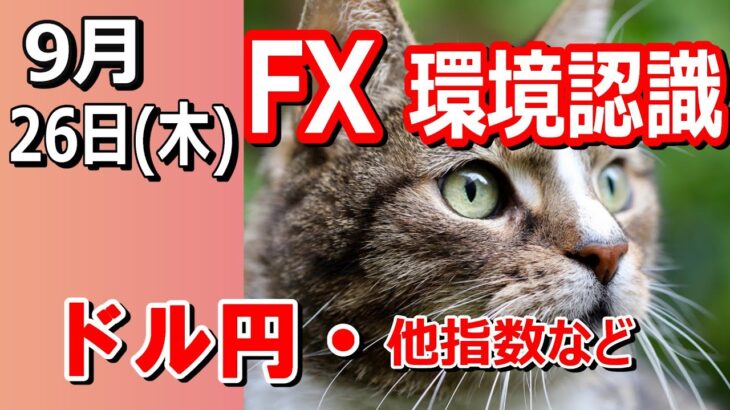 【TAKA FX】ドルの流れに変化あり！？　ドル円他各通貨の環境認識解説。各種指数、GOLDなど　9月26日(木)