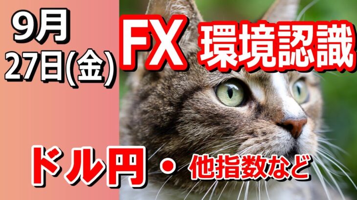 【TAKA FX】ドル円他各通貨の環境認識解説。各種指数、GOLDなど　9月27日(金)