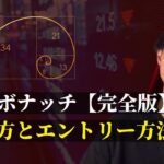 【完全版】黄金比・フィボナッチを利用してエントリー精度を上げる