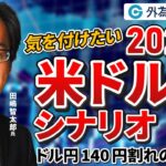 「ドル円140円割れの現実味？気を付けたい 2025年米ドル安シナリオ」田嶋・智太郎氏 2024/10/28