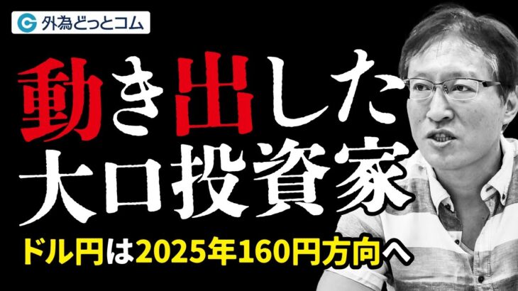 「動き出した海外大口投資家｜ドル円は2025年160円方向へ 」和田仁志氏が分析する今後の見通し　2024/10/30 FX/為替 #外為ドキッ