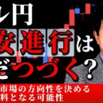 ドル円、円安進行はまだつづく？米CPIが市場の方向性を決める重要な材料となる可能性　2024/10/10　今井雅人氏